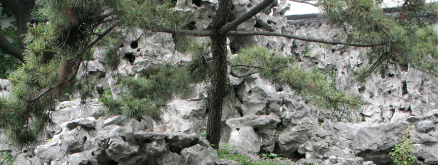 Https://Nl.Itcca.Com/Baum/Original
